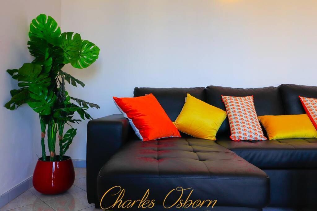 7 And Clear Apartment Sete Exterior photo